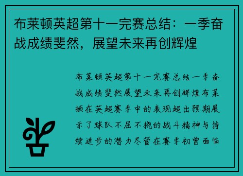 布莱顿英超第十一完赛总结：一季奋战成绩斐然，展望未来再创辉煌